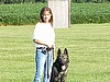 Estate Dogs Work Shop